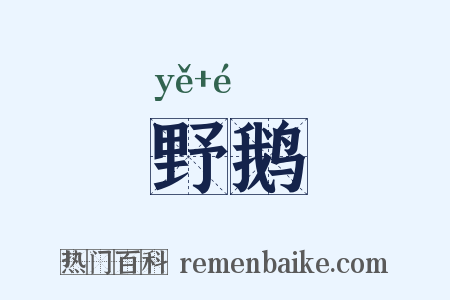 野鹅是什么意思的图片